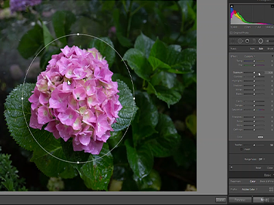 Lightroom metc